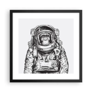 Affisch i svart ram - Alternativ evolution - 40x40 cm