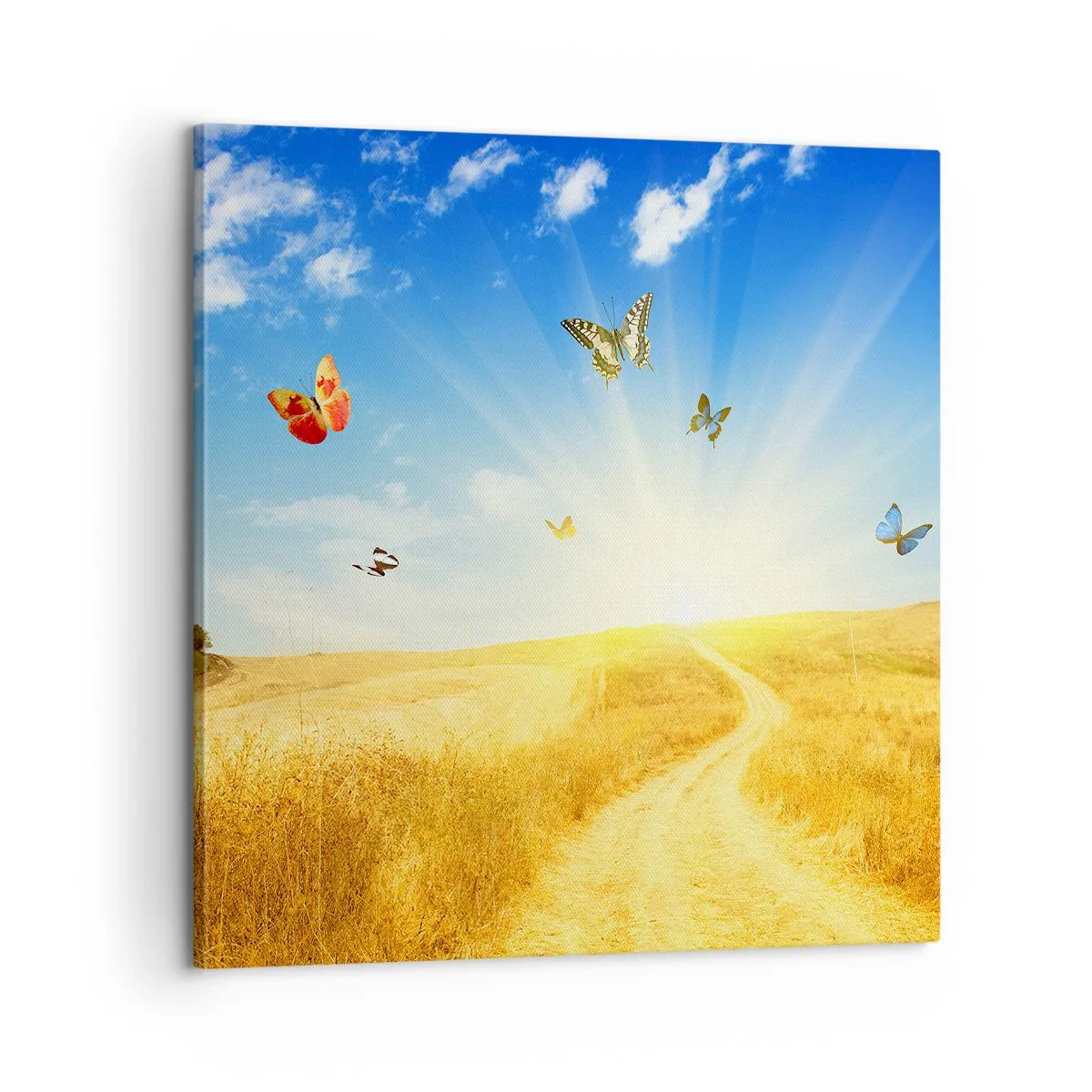 Canvastavla - Bild på duk - Varför vi älskar sommaren? - 60x60 cm