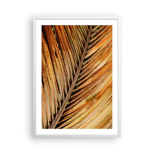 Affisch i vit ram - Kokosguld - 50x70 cm