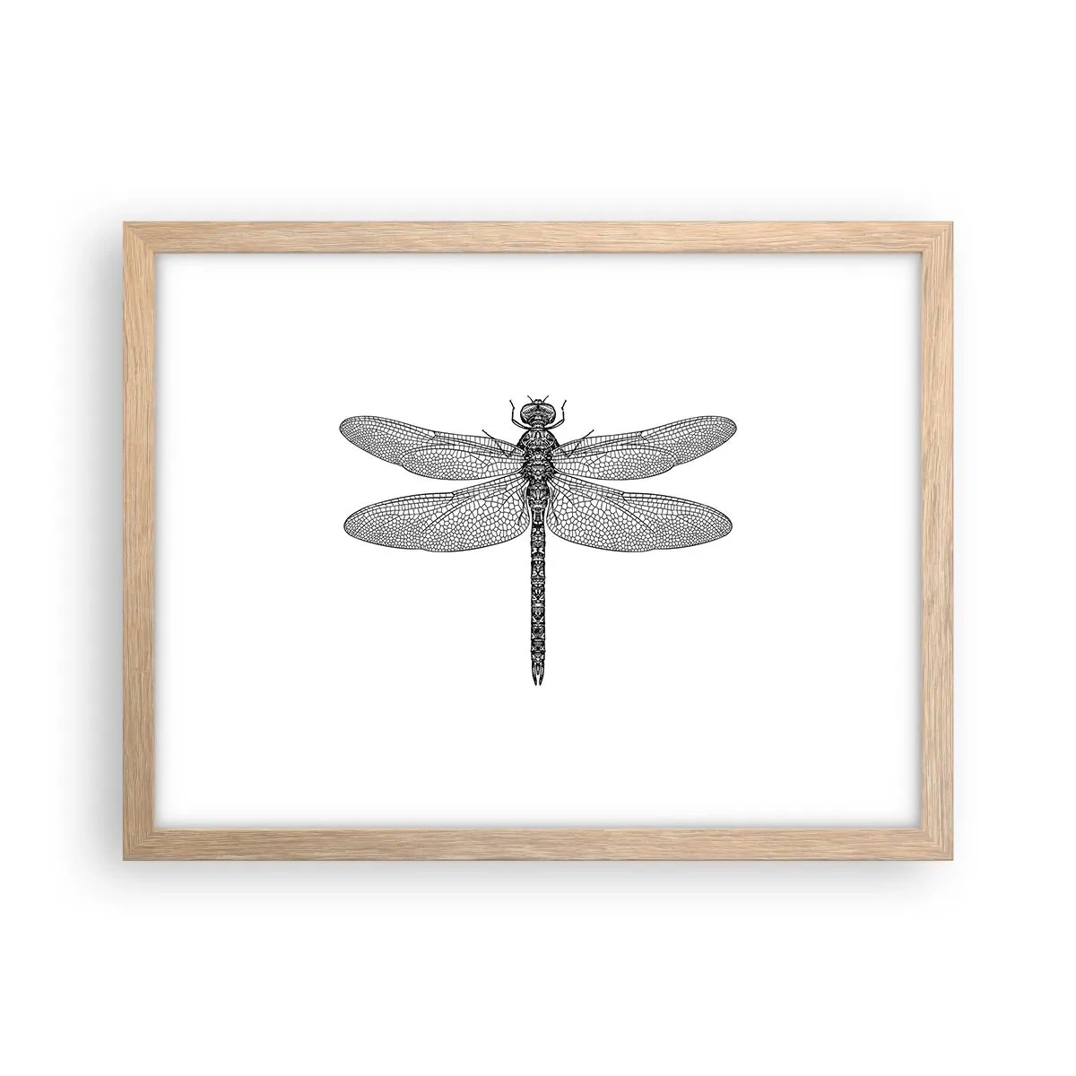 Affisch i ram av ljusek - Precision i naturen - 40x30 cm