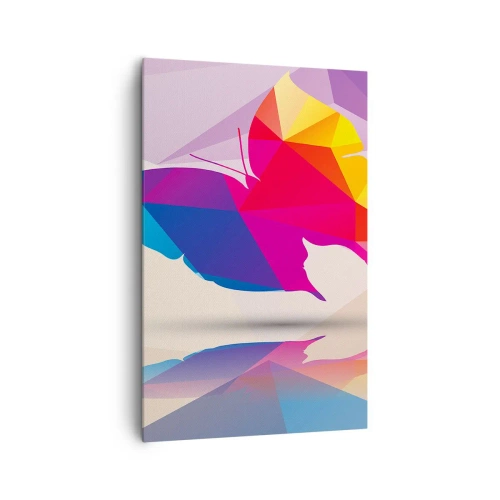 Canvastavla - Bild på duk - Fjärilregnbåge - 80x120 cm