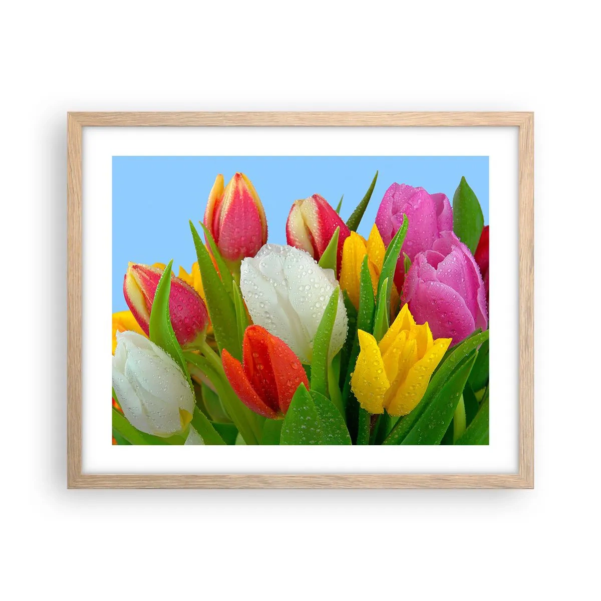 Affisch i ram av ljusek - blommig regnbåge i daggdroppar - 50x40 cm