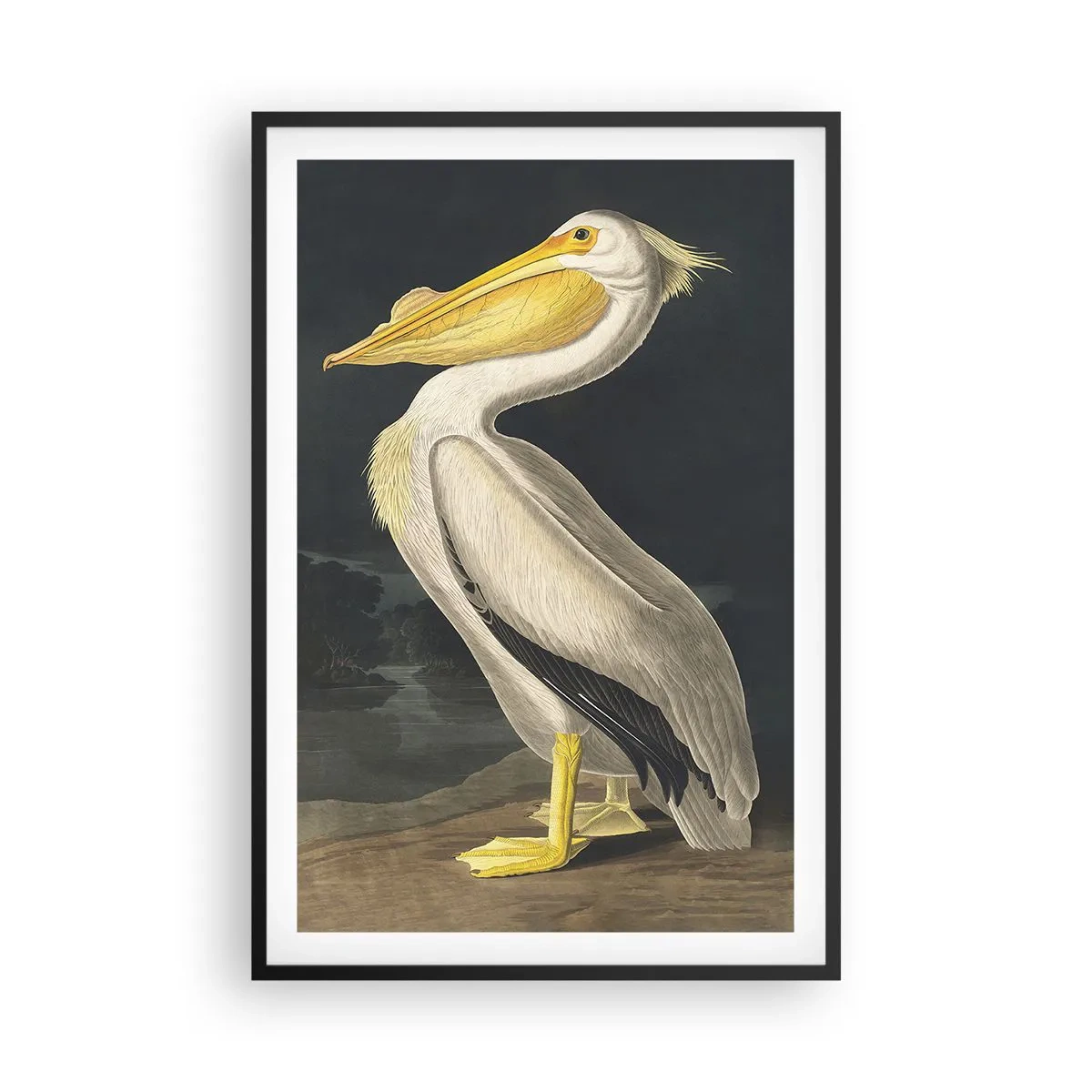 Affisch i svart ram - Full av stolthet - 61x91 cm