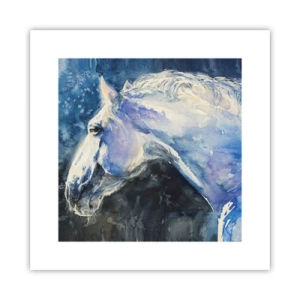 Affisch - Porträtt i blått sken - 30x30 cm