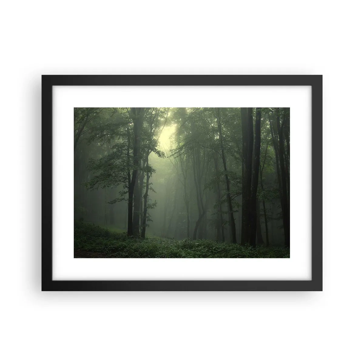Affisch i svart ram - Innan skogen vaknar - 40x30 cm