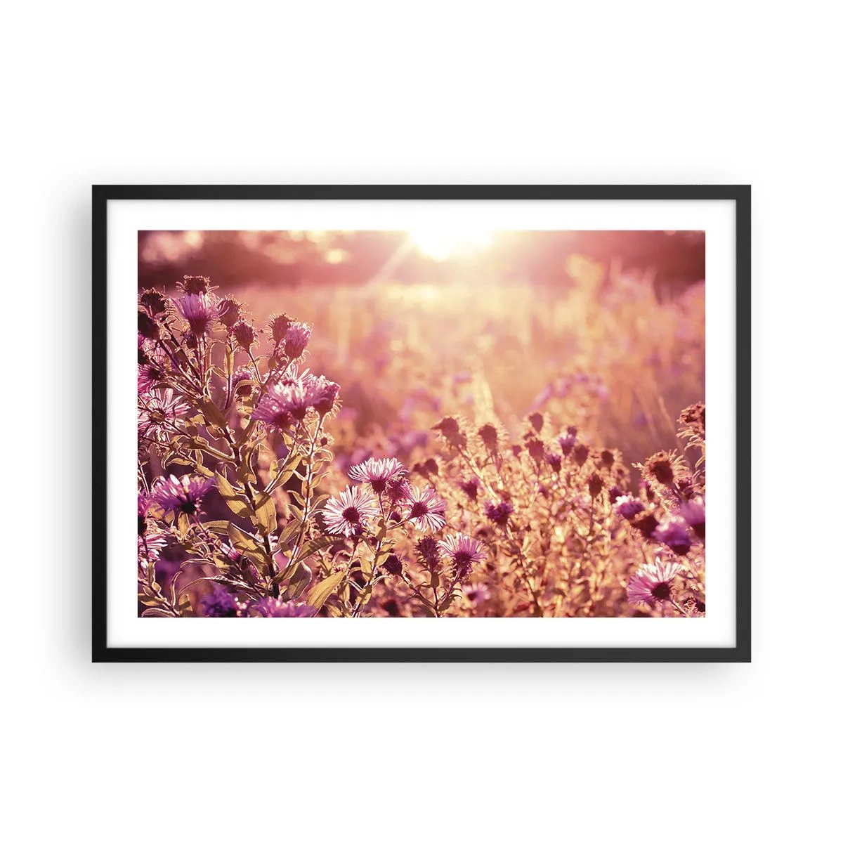 Affisch i svart ram - Innan sommaren går bort - 70x50 cm