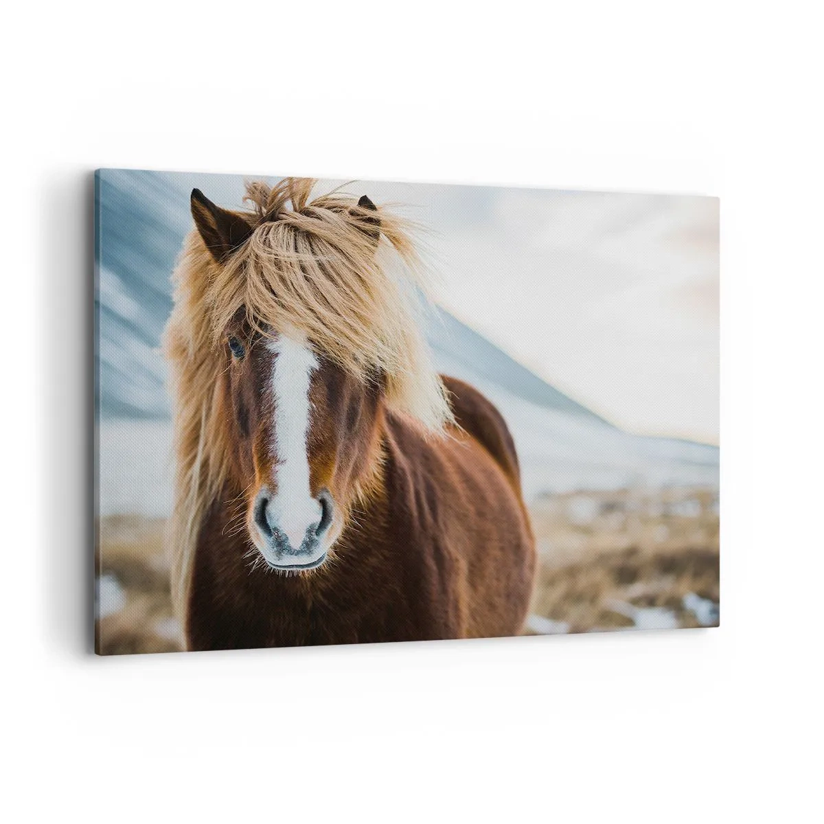 Canvastavla - Bild på duk - Känner du friheten? - 100x70 cm