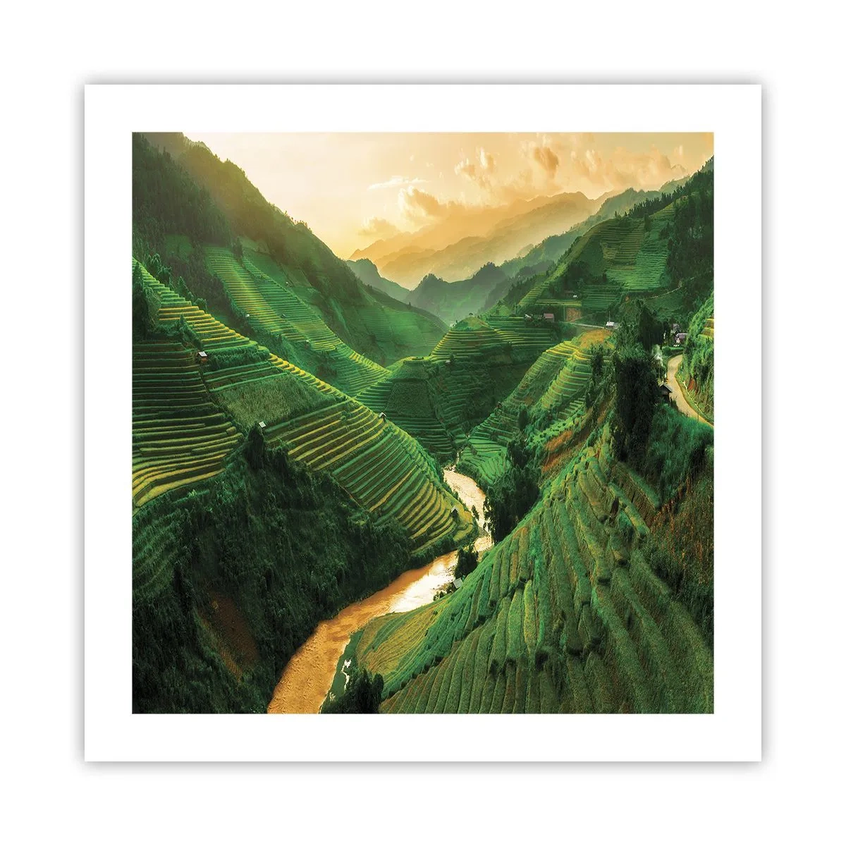 Affisch - Vietnamesisk dal - 50x50 cm