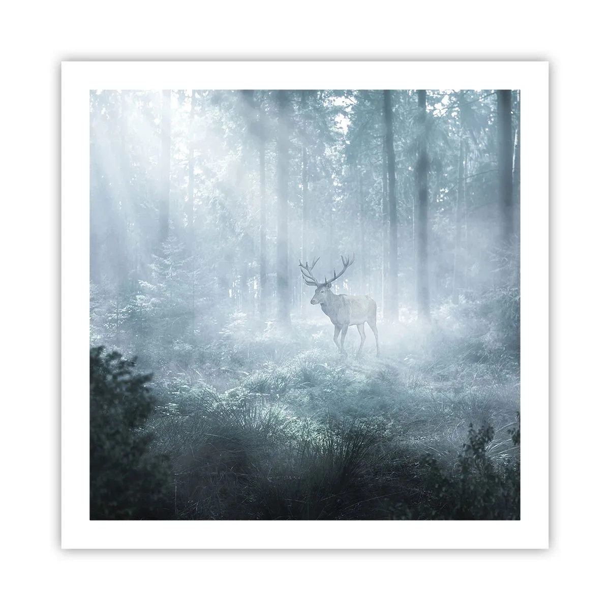 Affisch - Morgonrond runt godset - 60x60 cm