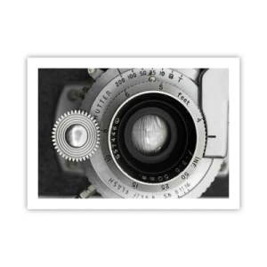 Affisch - En berättelse om Hollywood - 70x50 cm