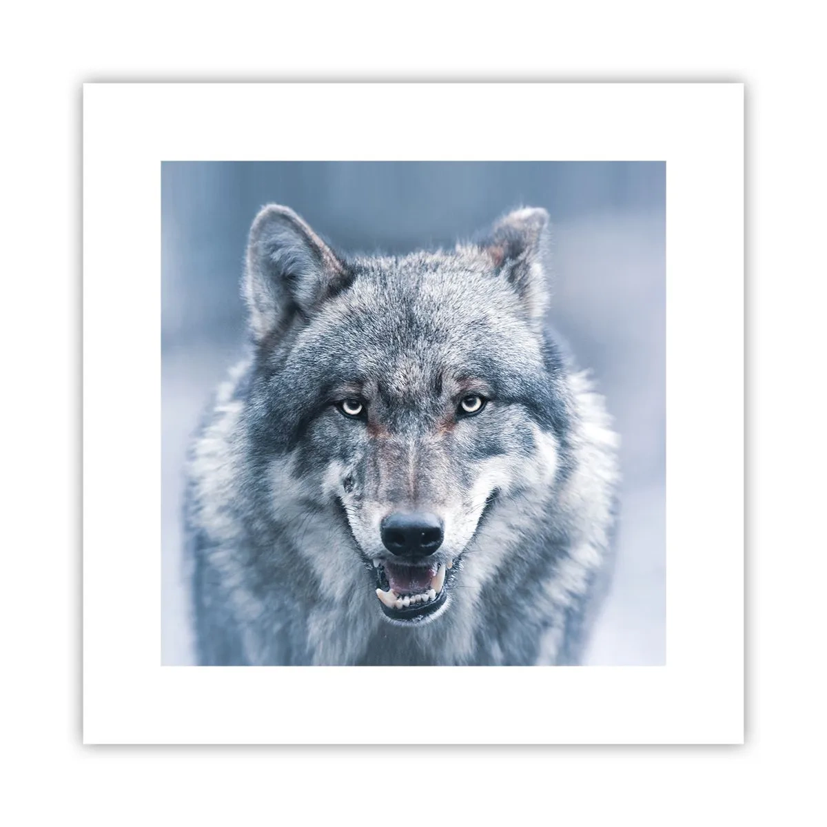 Affisch - Tar du utmaningen? - 30x30 cm