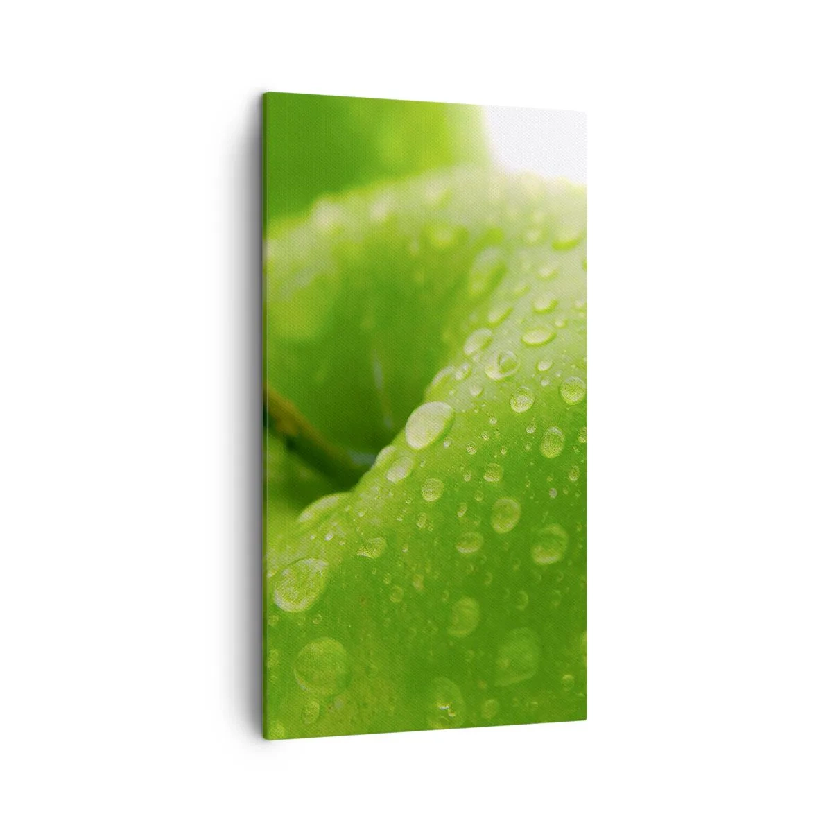 Canvastavla - Bild på duk - Kylig grön fräschhet - 45x80 cm