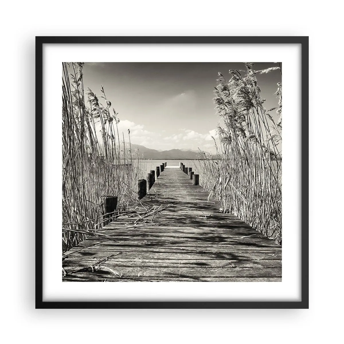 Affisch i svart ram - I gräsets fristad - 50x50 cm