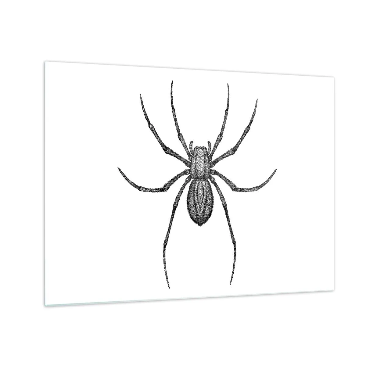 Glastavla - Bild på glas - Retrostilillustration av en svart spindel på en vit bakgrund - 70x50cm - Oroväckande precision - Modern väggdekoration för vardagsrum och sovrum ARTTOR
