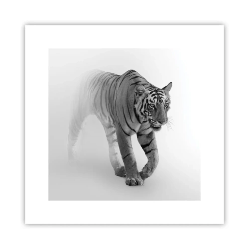 Affisch - Gömd i dimman - 30x30 cm