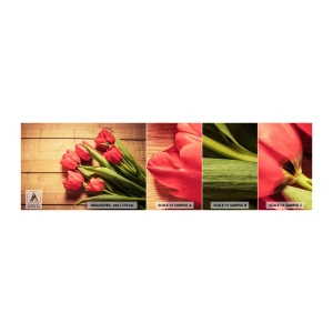Provbit av självhäftande fototapet Deluxe Sticker - Vårförklaran - Blommor, Tulpaner, Blombukett - 100x30 cm