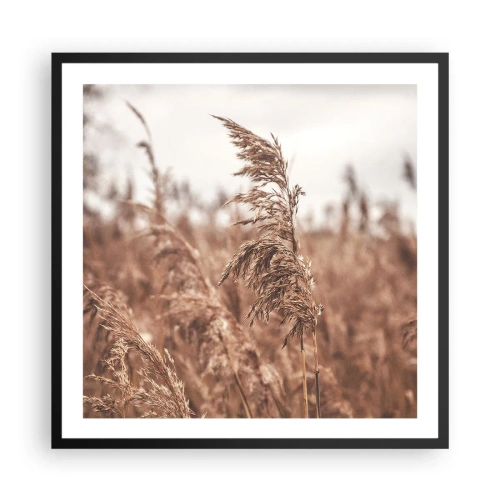 Affisch i svart ram - Hösten är framme på åkrarna - 60x60 cm