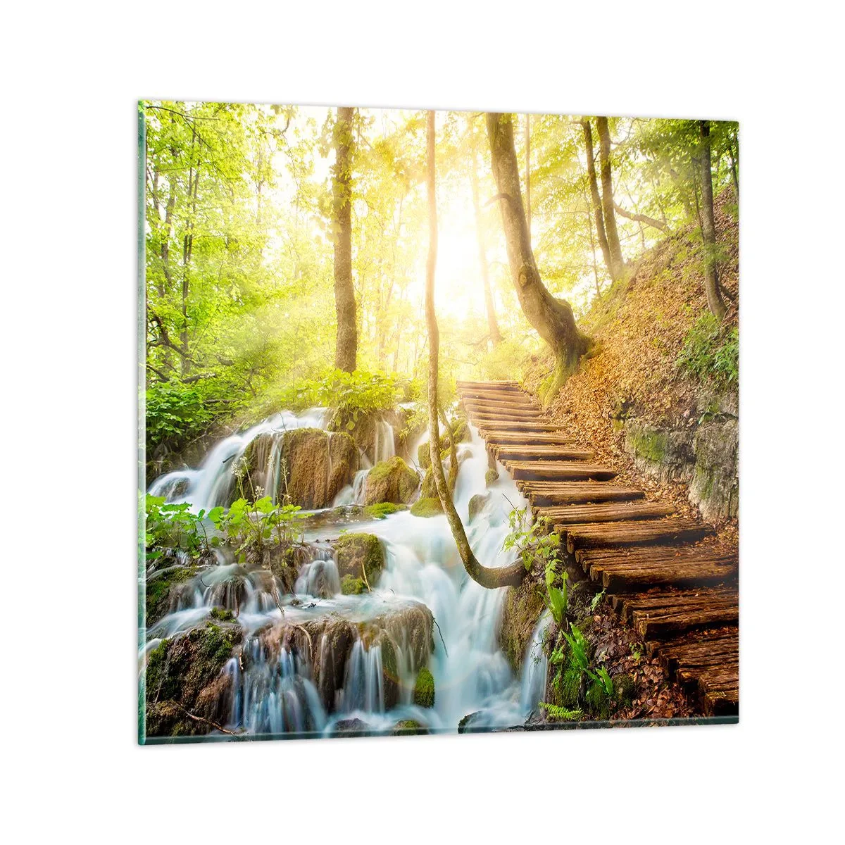 Glastavla - Bild på glas - Efterlängtad svalka - 70x70 cm