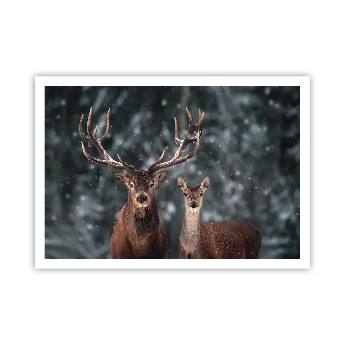 Affisch - Skogens herre med hustrun - 100x70 cm