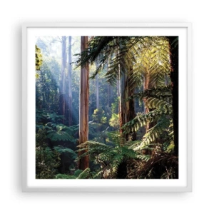 Affisch i vit ram - Skogens saga - 60x60 cm