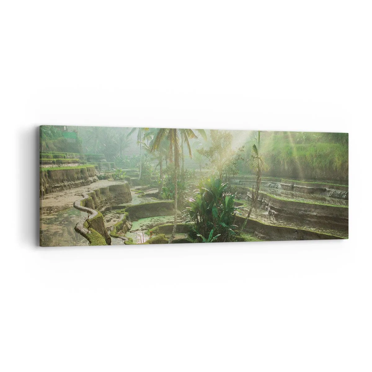 Canvastavla - Bild på duk - Växa upp i solsken - 90x30 cm