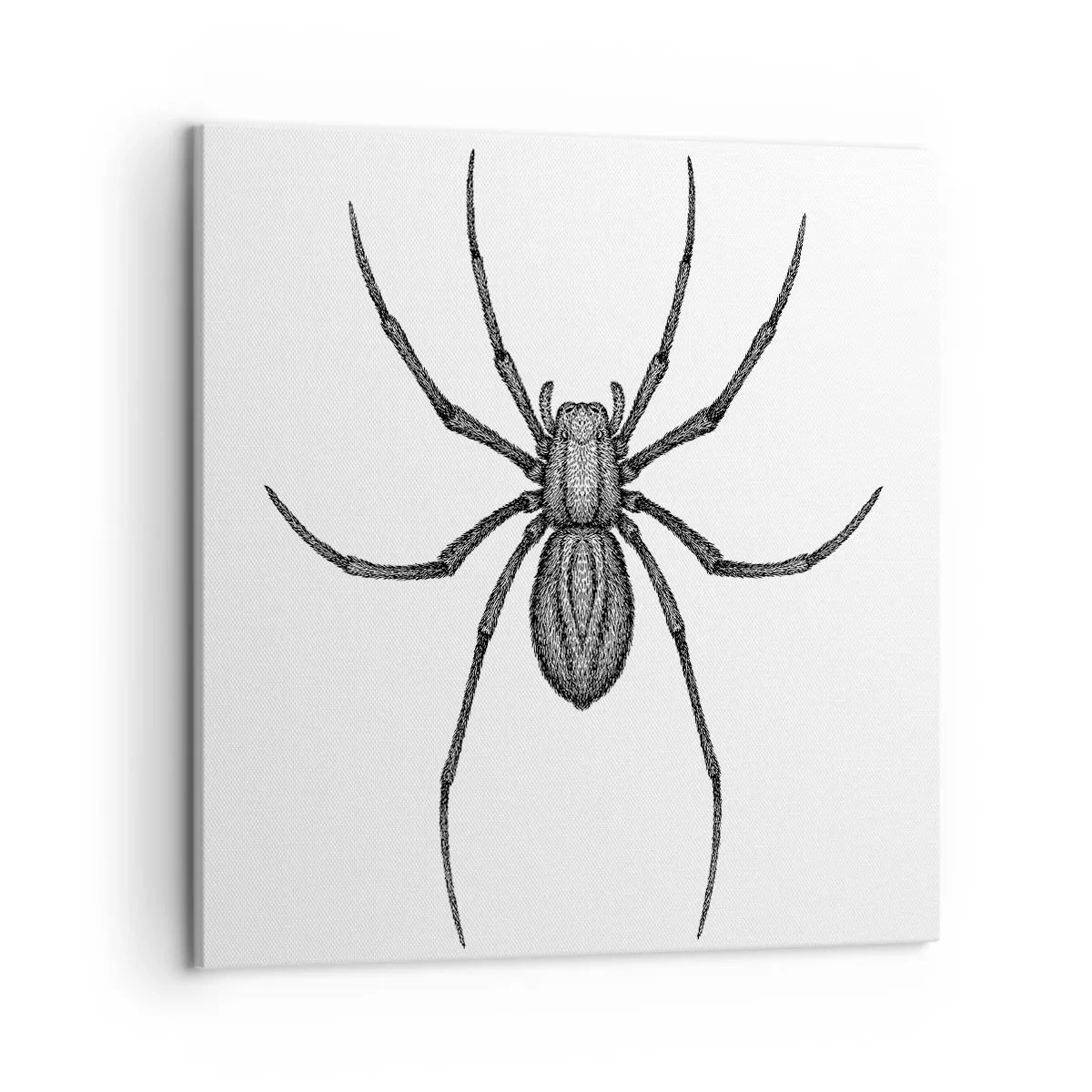 Canvastavla - Bild på duk - Oroväckande precision - 50x50 cm