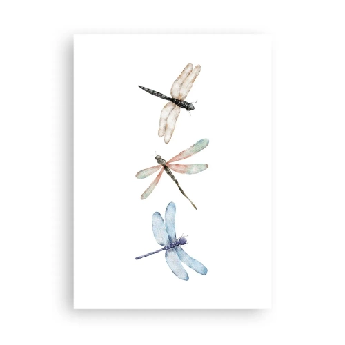 Affisch - Viktlösa trollsländor - 50x70 cm