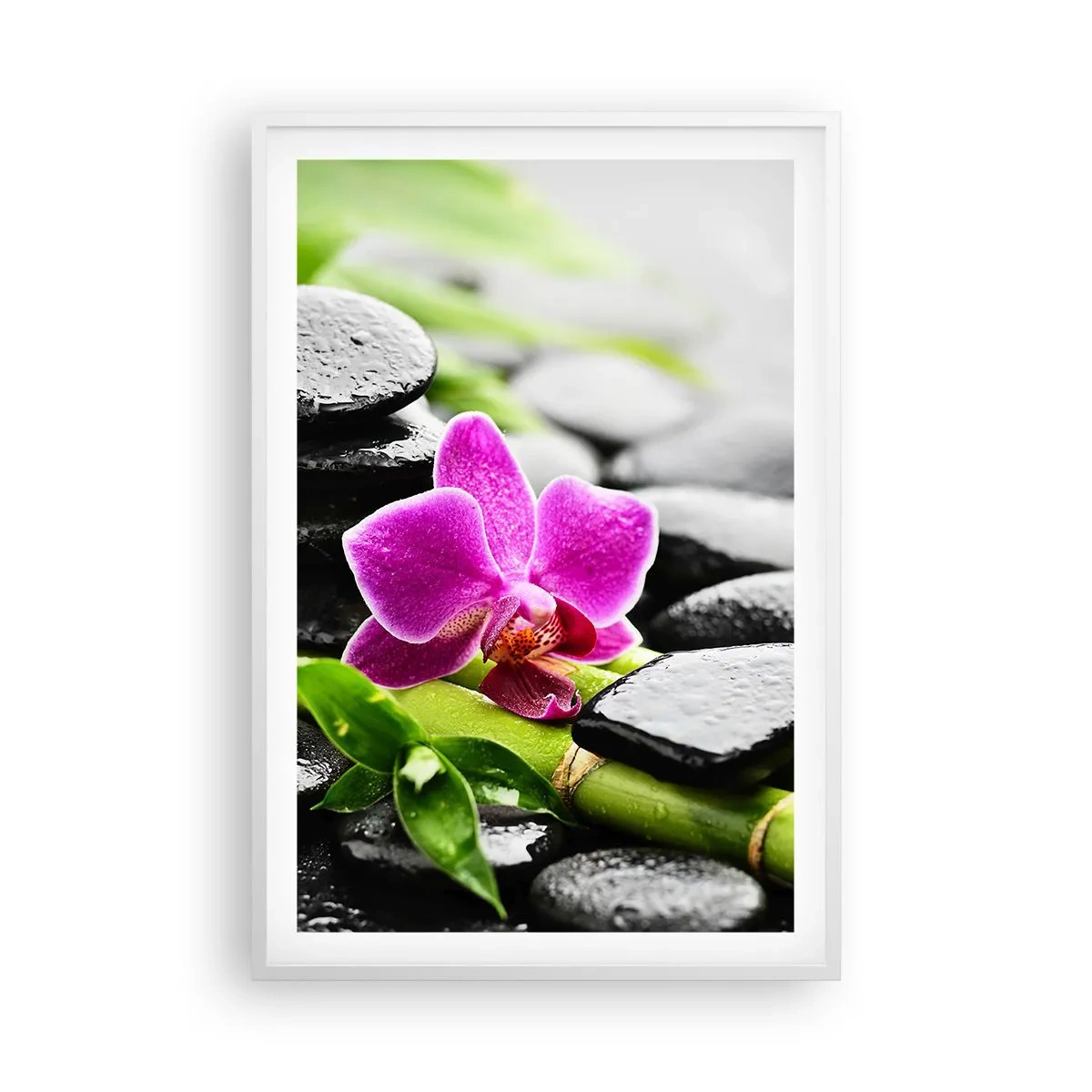 Affisch i vit ram - Lugn balans - 61x91 cm