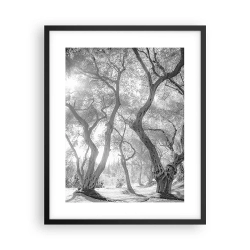 Affisch i svart ram - I en olivlund - 40x50 cm