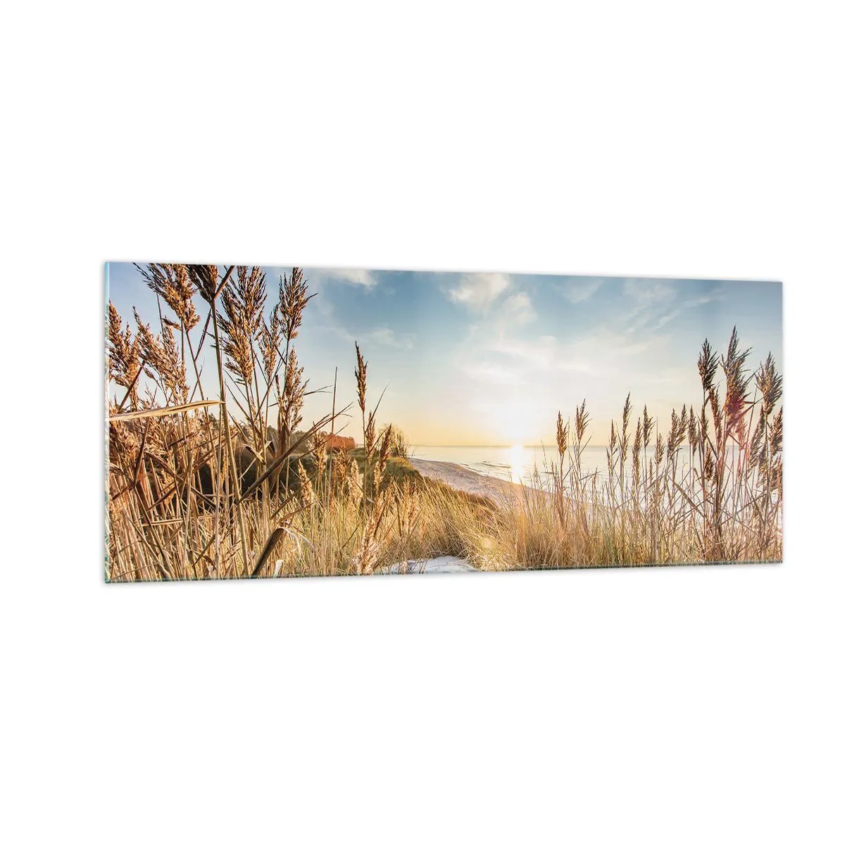 Glastavla - Bild på glas - Nordlig strand - 100x40 cm
