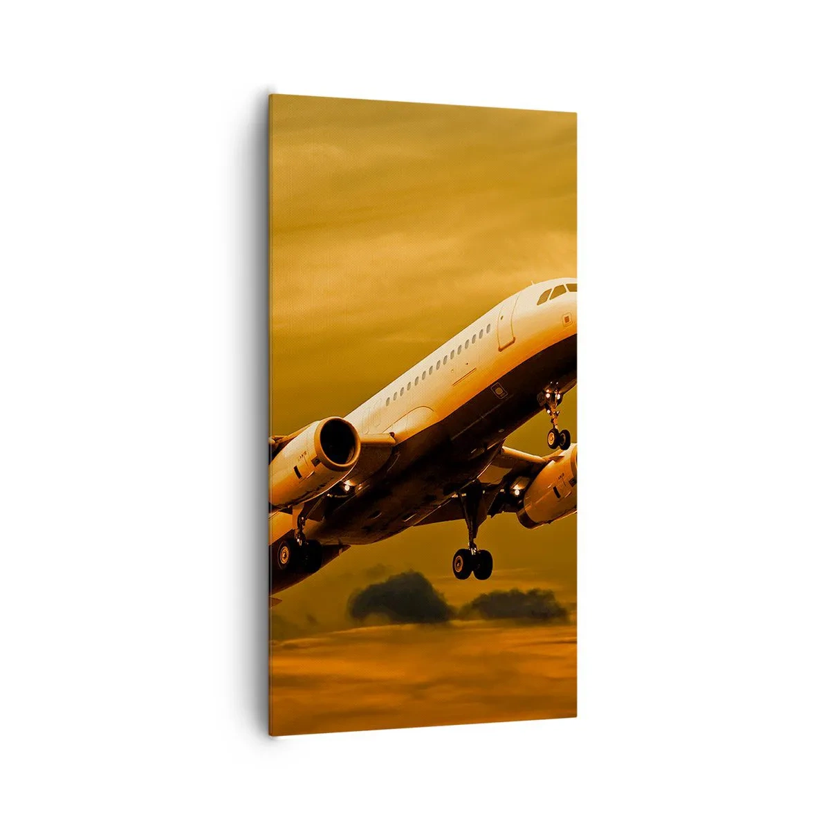 Canvastavla - Bild på duk - Flyga mot solen - 65x120 cm