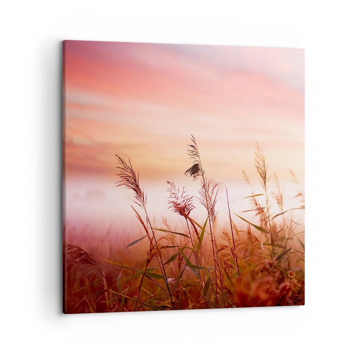 Canvastavla - Bild på duk - Drakar, maskrosor, vind - 50x50 cm