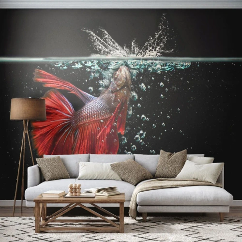 Fototapet Standard Eco - Betta splendens i en dynamisk undervattensbild - 100x70cm - Du har tre önskemål - Modern väggdekoration för vardagsrum och sovrum ARTTOR
