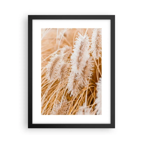 Affisch i svart ram - Gyllene gräsrassel - 30x40 cm