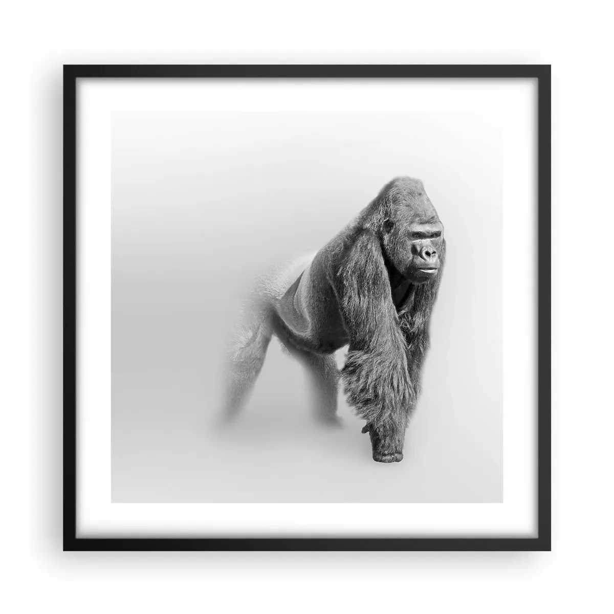 Affisch i svart ram - Övertygad om sin styrka - 50x50 cm