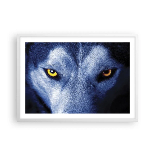 Affisch i vit ram - Hypnotiserade titt - 70x50 cm