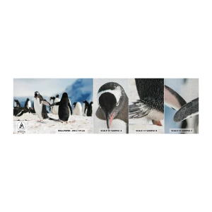 Provbit av fototapet Premium Canvas - Dans på snön - Pingvin, Antarktis, Landskap - 100x30 cm