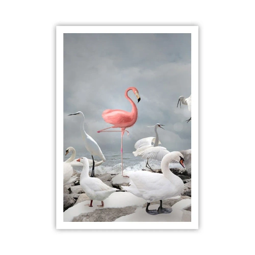 Affisch - Hur har jag hamnat här? - 70x100 cm