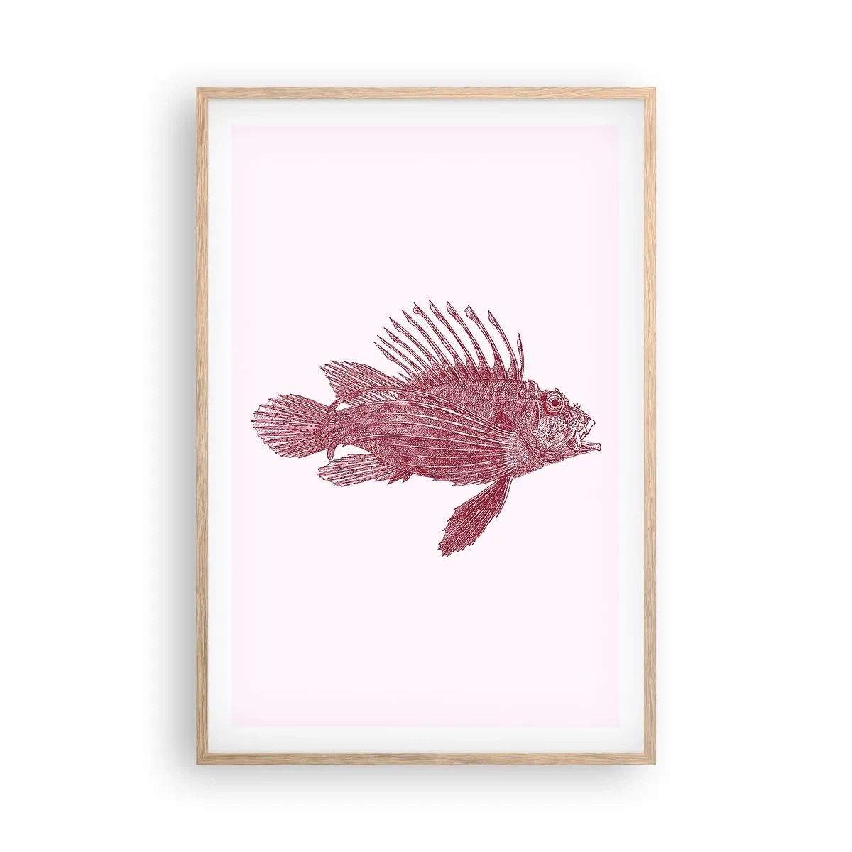 Affisch i ram av ljusek - En invånare i exotiska vatten - 61x91 cm