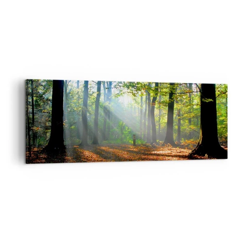 Canvastavla - Bild på duk - Sken-och skuggspel - 140x50 cm
