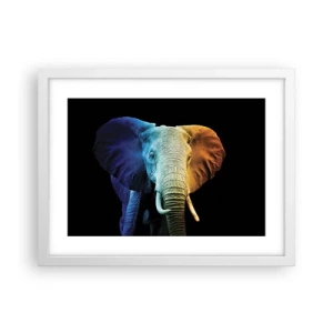 Affisch i vit ram - Excentriker, ej kuf - 40x30 cm