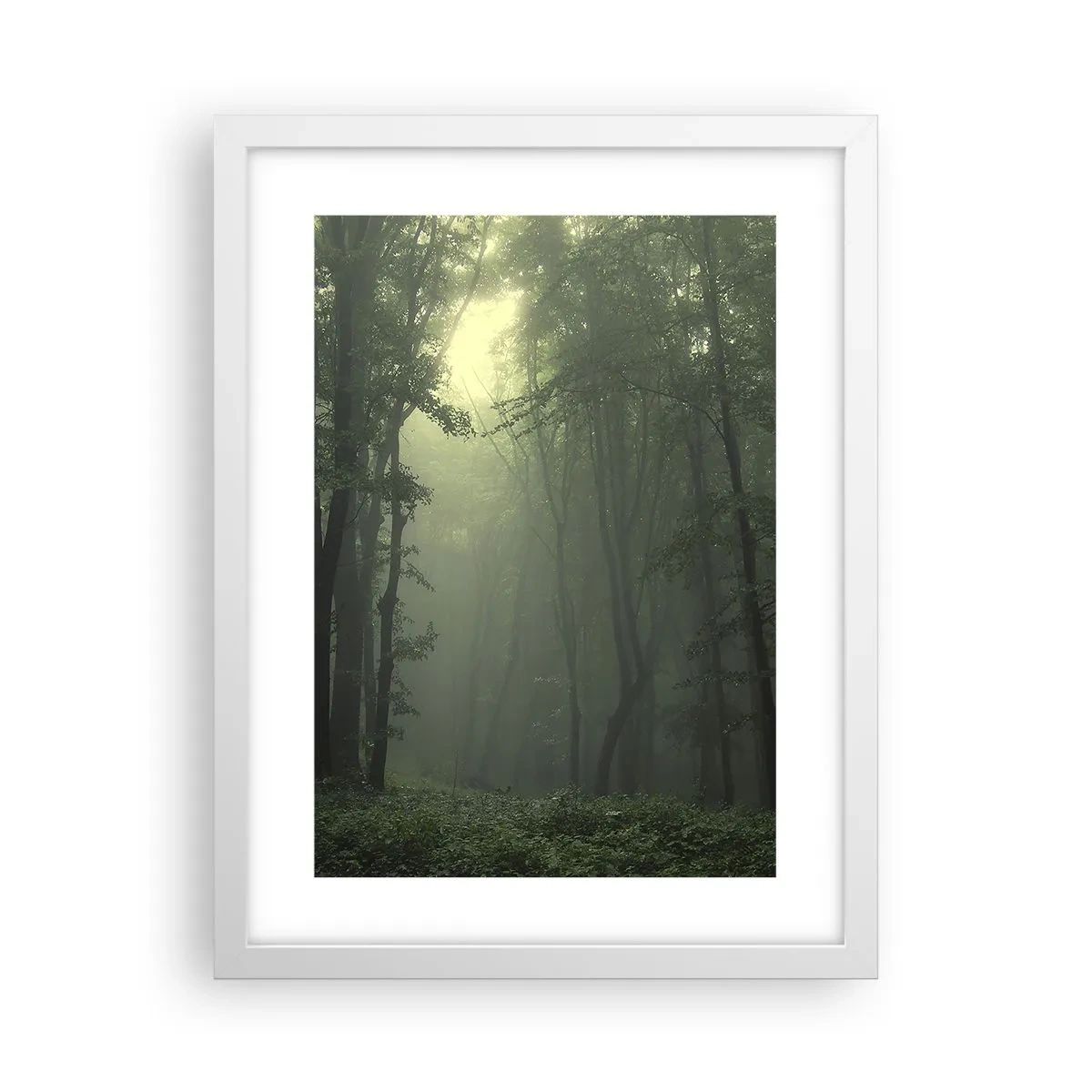 Affisch i vit ram - Innan skogen vaknar - 30x40 cm