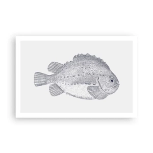 Affisch - Till naturforskarens album - 91x61 cm