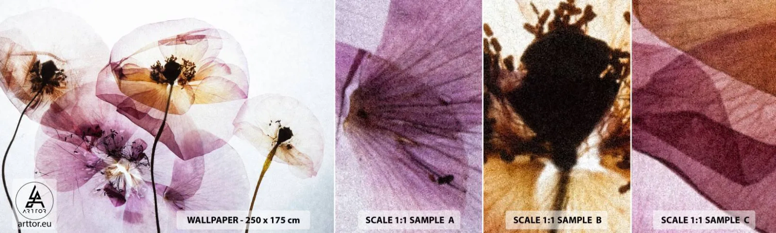 Provbit av självhäftande fototapet Deluxe Sticker - Blommornas transparenta kroppar - Blommor, Trädgård, Bit - 100x30 cm