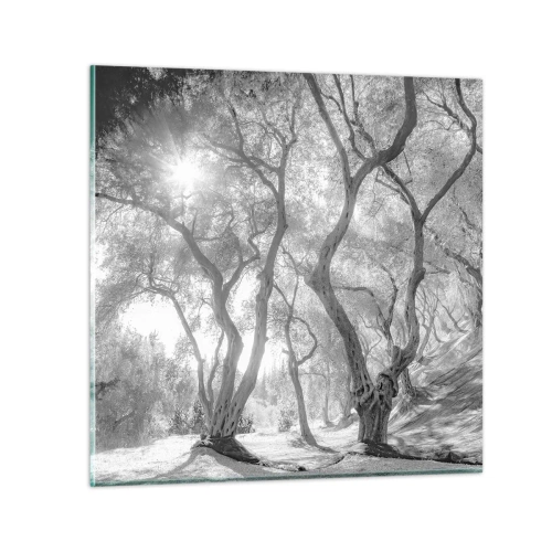 Glastavla - Bild på glas - I en olivlund - 30x30 cm