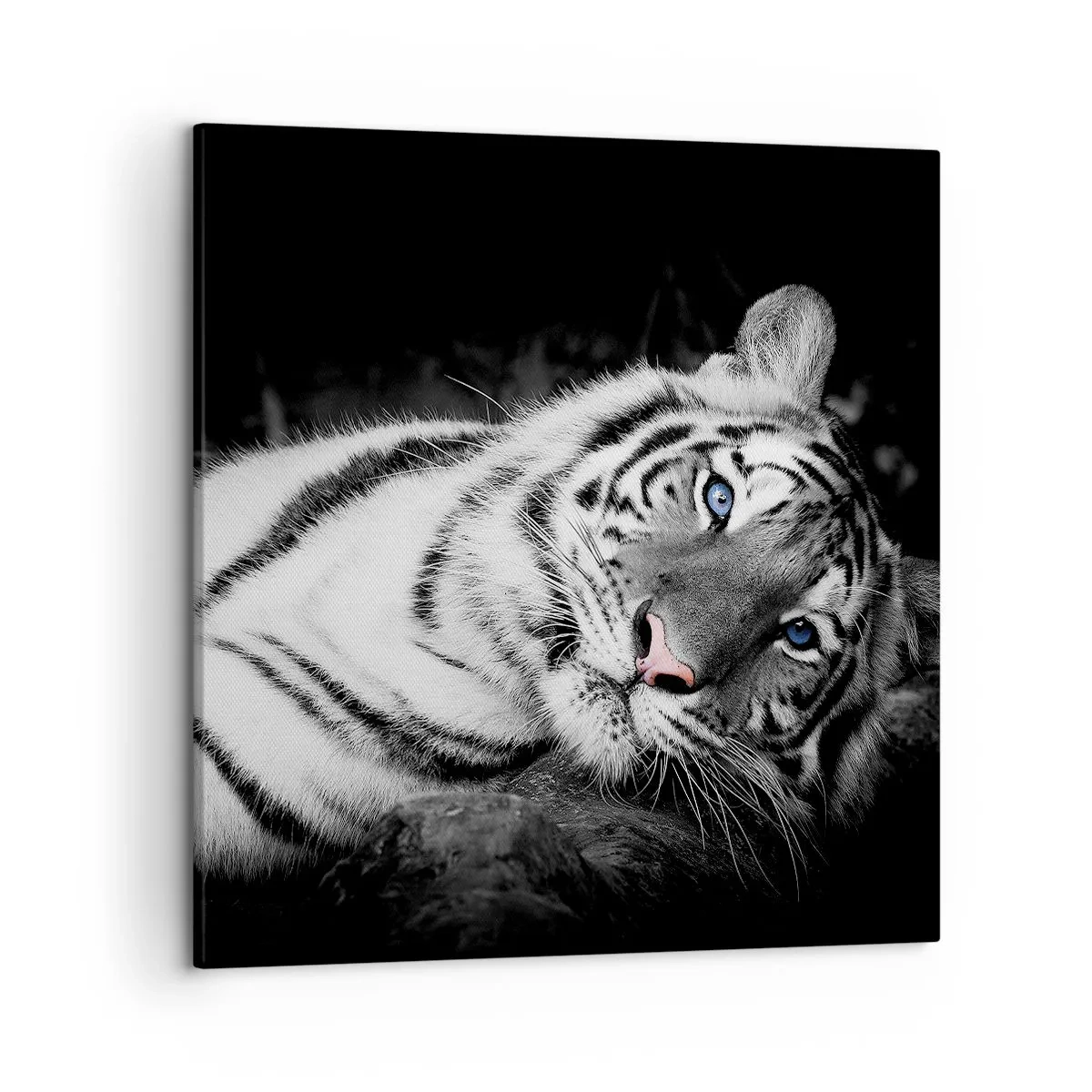 Canvastavla - Bild på duk - Vildhet och lugn - 50x50 cm