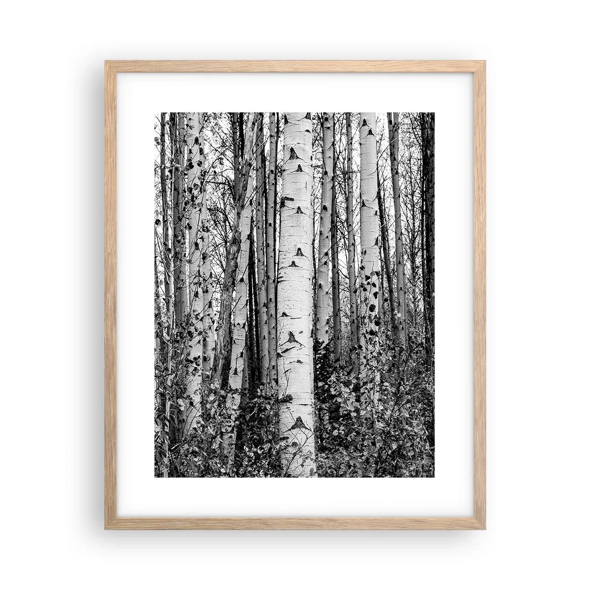 Affisch i ram av ljusek - Björkpelargång - 40x50 cm