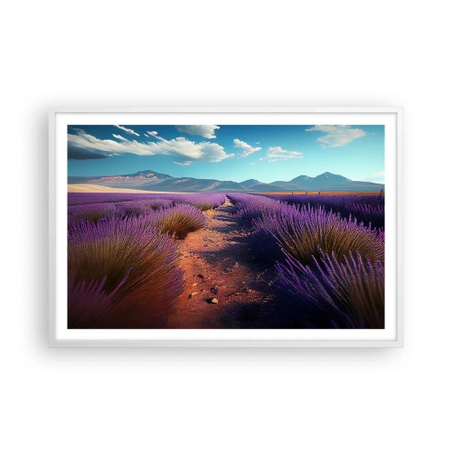 Affisch i vit ram - Doftande fält - 91x61 cm