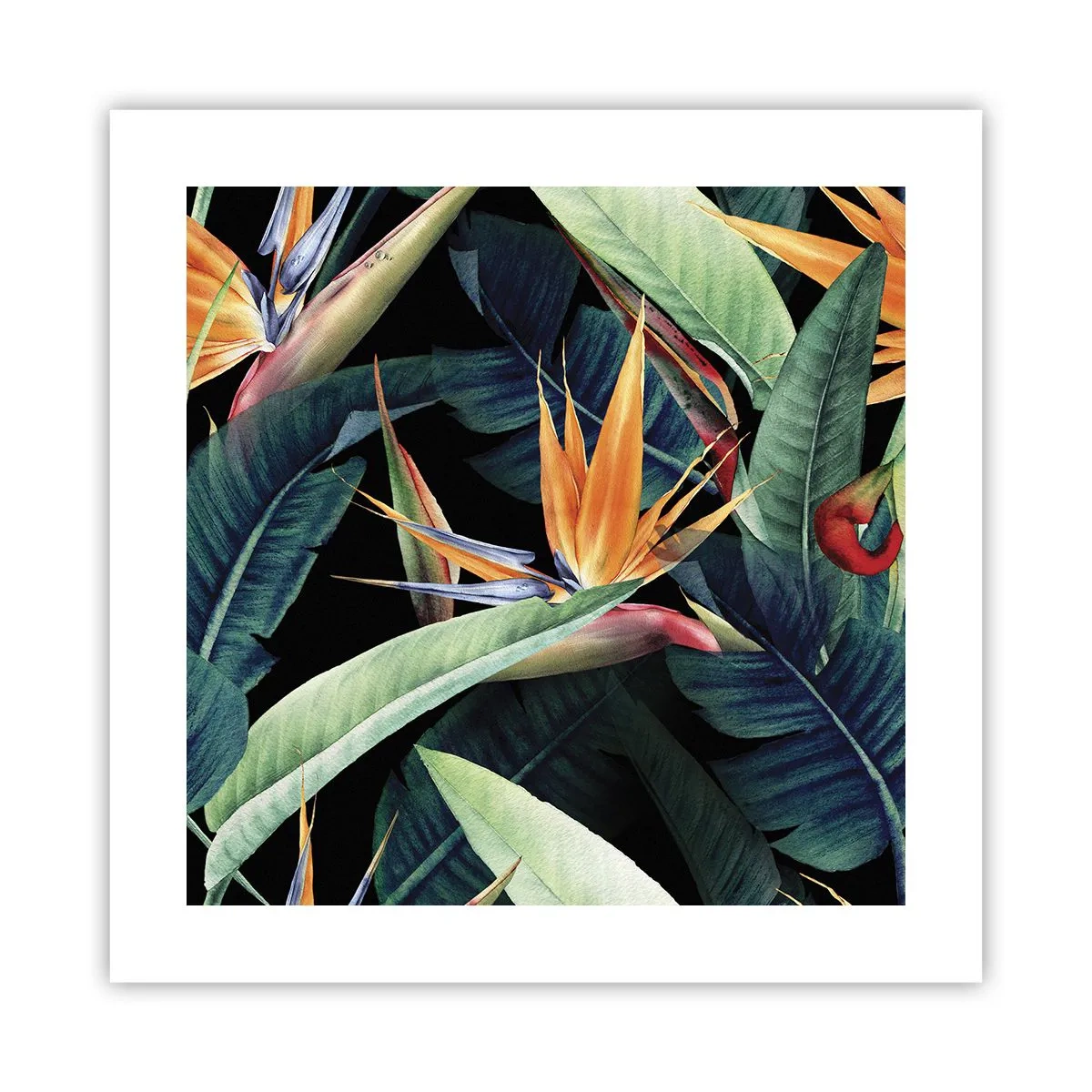Affisch - Tropikens brinnande blommor - 40x40 cm