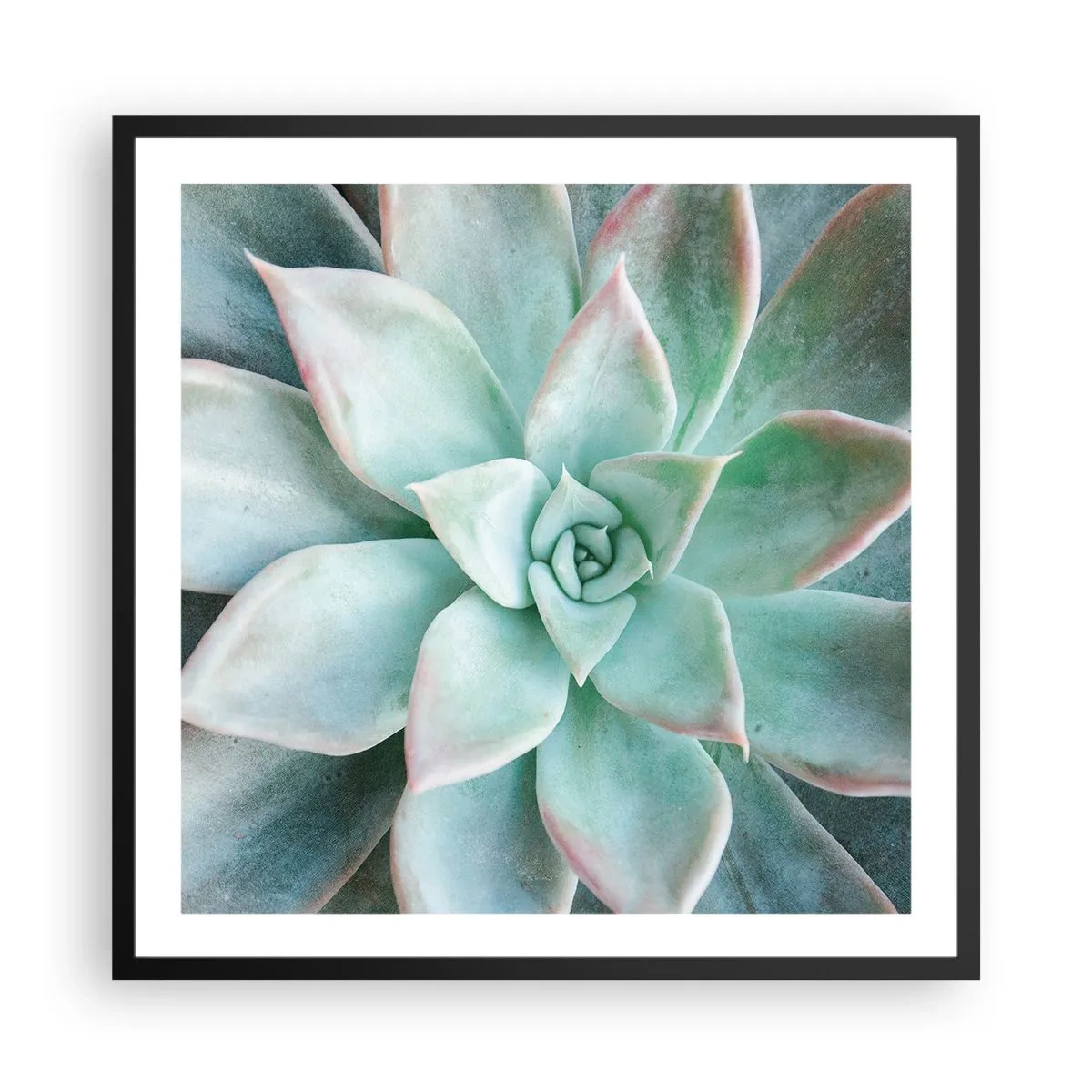 Affisch i svart ram - Öknens hjärta - 60x60 cm